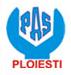 S.c. Profesional Auto Service S.a.