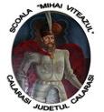 Şcoala Cu Clasele i-Viii Mihai Viteazul