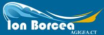 Şcoala Cu Clasele i-Viii Ion Borcea