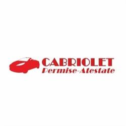 Cabriolet-Scoala de soferi Turda
