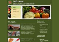 Website Statiunea de Cercetare-Dezvoltare Pentru Legumicultura Iernut
