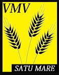 v m v S.r.l