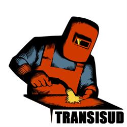 Transisud Consulting S.r.l