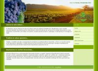 Website Vinaria S.a