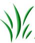 Agroauto Distribution SRL