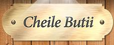 Complexul Turistic Cheile Butii