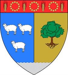 Consiliul Judetean Teleorman
