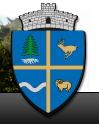 Primaria comunei sant