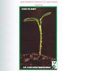 Website Evo Plant SRL