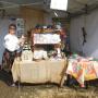 Încărcat de vizitator în 25.09.2015  - Targ Alba Iulia