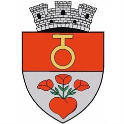 Primăria Oraşului Ghimbav