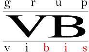 Grup - Vibis SRL