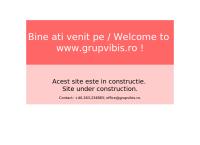 Website Grup - Vibis SRL