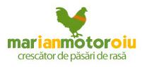 S.c. Marmotor Company S.r.l