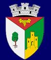 Primăria Oraşului Babadag