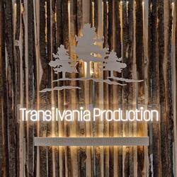 Transilvania Production SRL