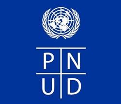 Programul Natiunilor Unite Pentru Dezvoltare - P.n.u.d.