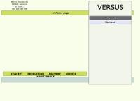 Website Versus Impex S.r.l