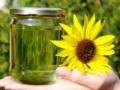 Motive pentru fabricarea biocarburantilor denumiti biodiesel