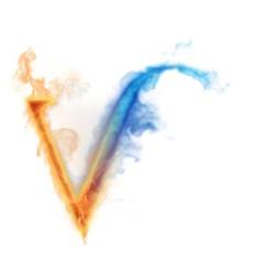 SC Valiss 2007 SRL