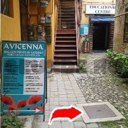 Avicenna S.r.l