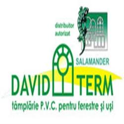 SC David Term SRL