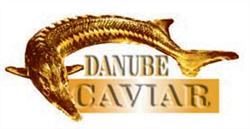 Kaviar House SRL