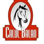 Restaurant Calul Balan