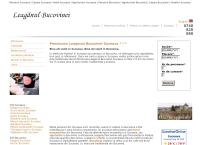 Website Pensiunea Leaganul Bucovinei