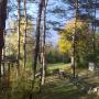 Gradina-toamna