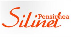Pensiunea Silinel