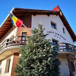 Pensiunea Casa Din Noua