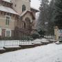 Vila iarna