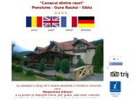 Website Pensiunea Conacul Dintre Rauri