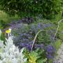 gradina