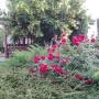 gradina