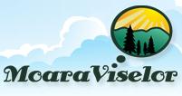 Pensiunea Moara Viselor