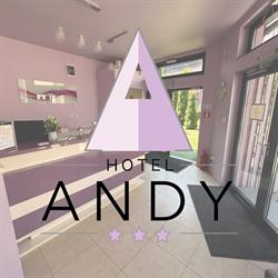 pensiunea andy
