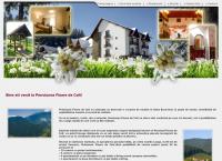 pensiunea Floare de Colt