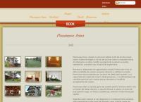 Website Pensiunea Irina