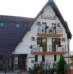 Pensiune & Restaurant Shamrock Inn