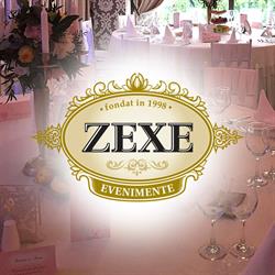 Club Zexe S.r.l