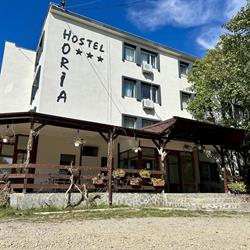 Hostel Horia