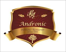 Pensiunea Andronic