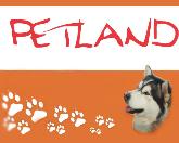 Petland Grădiniţă şi Pensiune Canină