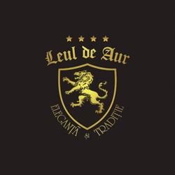 Hotel Leul de Aur Cazare Sebes