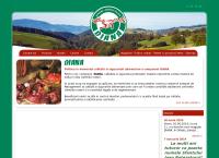 Website Magazin Diana Ocnele Mari