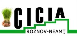 Centrul de Incubare Creativ-Inovativ de Afaceri