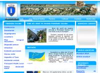 Website Primaria Sulina