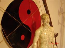 Cabinet Medical Particular  Orl Si Acupunctura - Fotescu Otto-Gheorghe